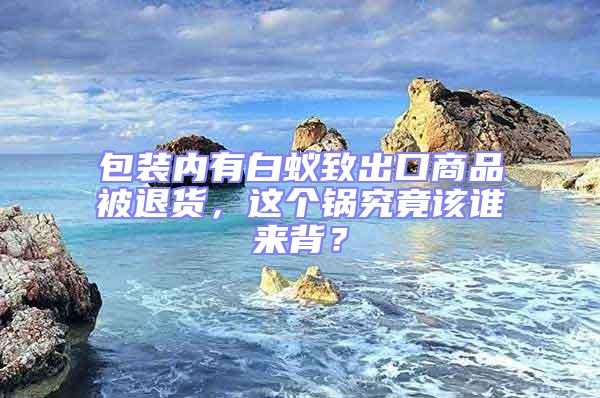 包裝內(nèi)有白蟻致出口商品被退貨，這個(gè)鍋究竟該誰來背？
