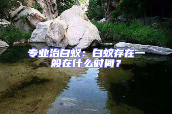 專業治白蟻：白蟻存在一般在什么時間？