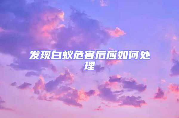 發現白蟻危害后應如何處理