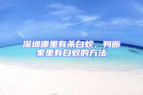 深圳哪里有殺白蟻，判斷家里有白蟻的方法