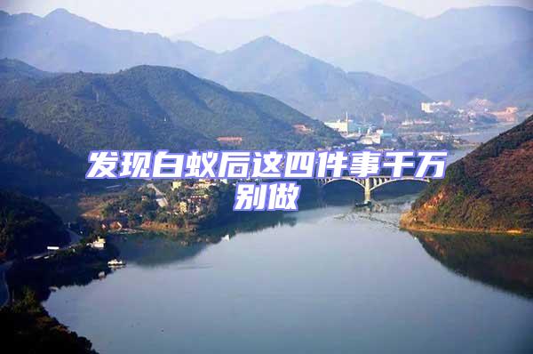 發(fā)現(xiàn)白蟻后這四件事千萬(wàn)別做
