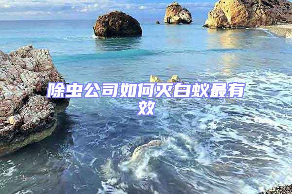 除蟲公司如何滅白蟻最有效