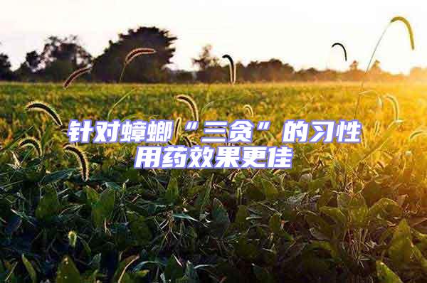 針對蟑螂“三貪”的習(xí)性用藥效果更佳