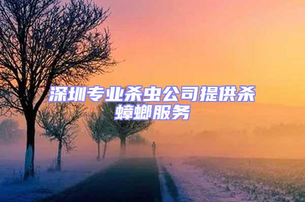 深圳專業(yè)殺蟲公司提供殺蟑螂服務