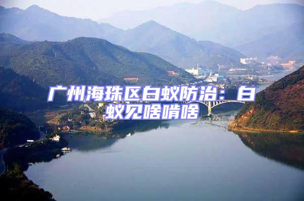 廣州海珠區(qū)白蟻防治：白蟻見(jiàn)啥啃啥
