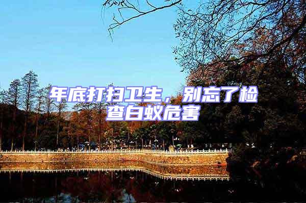 年底打掃衛生，別忘了檢查白蟻危害