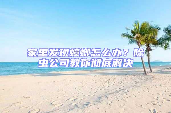 家里發(fā)現(xiàn)蟑螂怎么辦？除蟲公司教你徹底解決