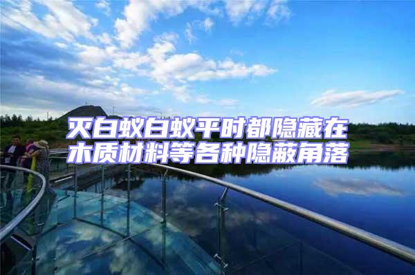 滅白蟻白蟻平時都隱藏在木質材料等各種隱蔽角落