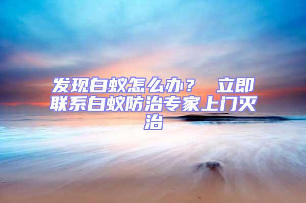 發(fā)現(xiàn)白蟻怎么辦？ 立即聯(lián)系白蟻防治專家上門滅治