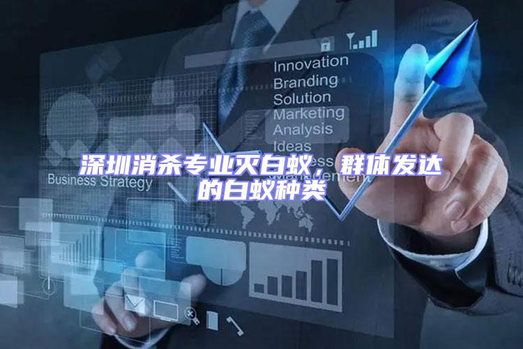 深圳消殺專業滅白蟻，群體發達的白蟻種類