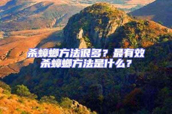 殺蟑螂方法很多？最有效殺蟑螂方法是什么？