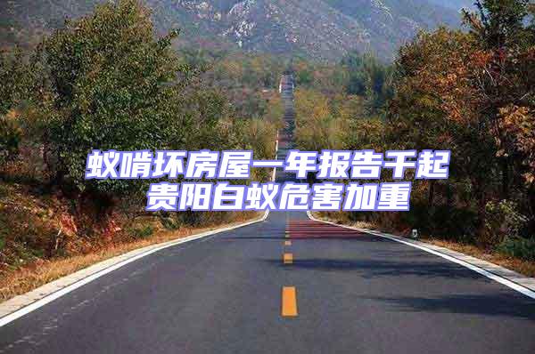 蟻啃壞房屋一年報(bào)告千起 貴陽(yáng)白蟻危害加重