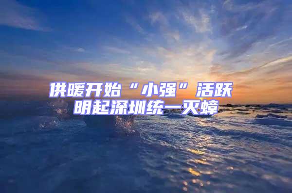 供暖開始“小強”活躍 明起深圳統(tǒng)一滅蟑
