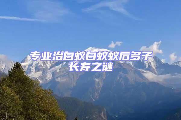 專業治白蟻白蟻蟻后多子長壽之謎