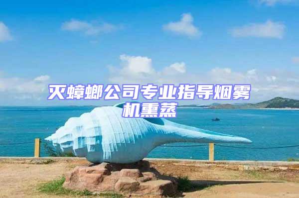 滅蟑螂公司專業(yè)指導煙霧機熏蒸