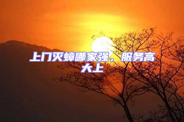 上門滅蟑哪家強，服務高大上