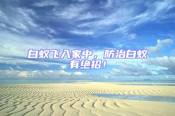 白蟻飛入家中，防治白蟻有絕招！