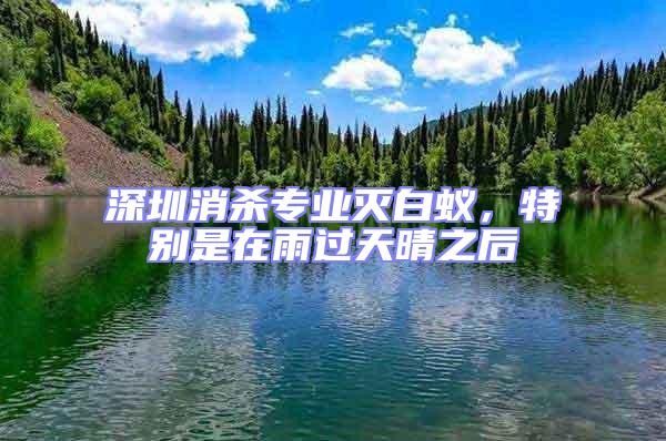 深圳消殺專業滅白蟻，特別是在雨過天晴之后