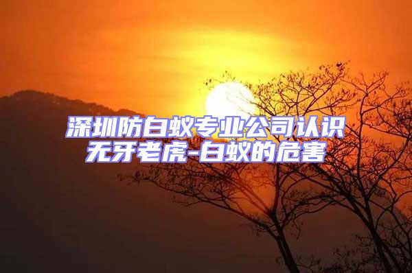 深圳防白蟻專業(yè)公司認(rèn)識(shí)無牙老虎-白蟻的危害