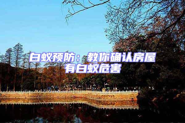 白蟻預(yù)防：教你確認(rèn)房屋有白蟻危害