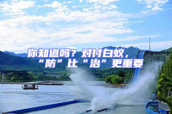 你知道嗎？對(duì)付白蟻，“防”比“治”更重要