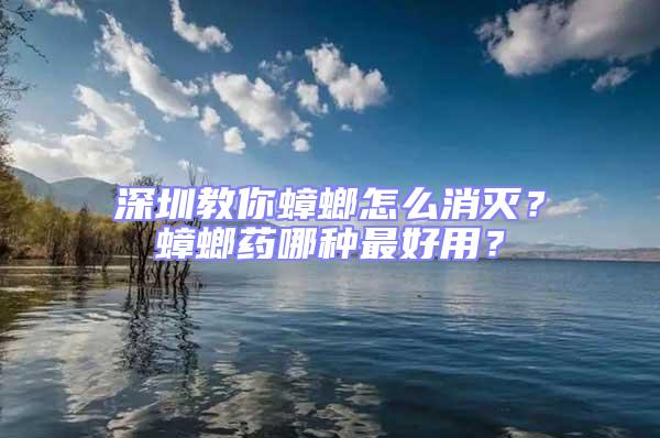 深圳教你蟑螂怎么消滅？蟑螂藥哪種最好用？