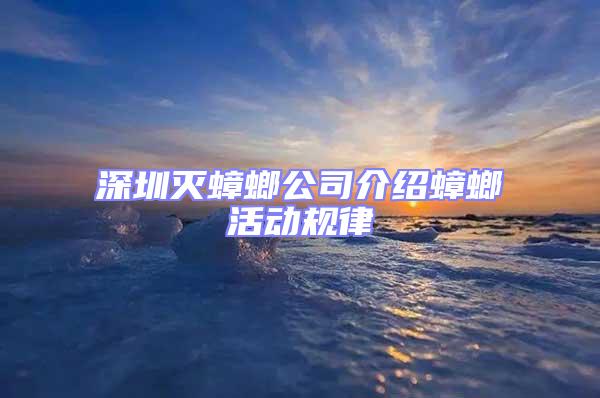 深圳滅蟑螂公司介紹蟑螂活動規(guī)律