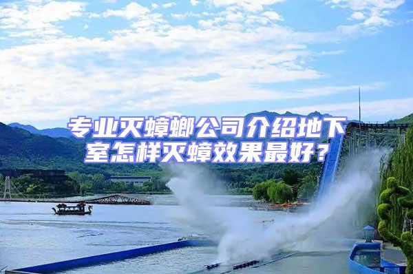 專業滅蟑螂公司介紹地下室怎樣滅蟑效果最好？