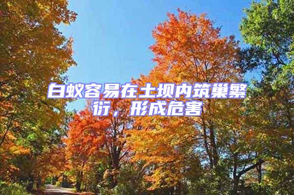 白蟻容易在土壩內(nèi)筑巢繁衍，形成危害