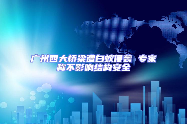 廣州四大橋梁遭白蟻侵襲 專家稱不影響結構安全