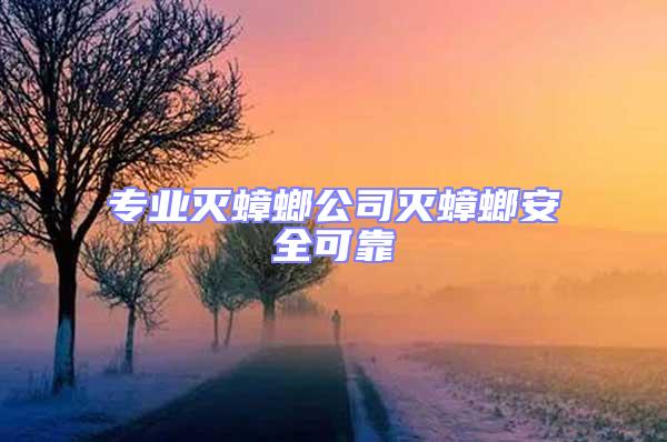 專業滅蟑螂公司滅蟑螂安全可靠