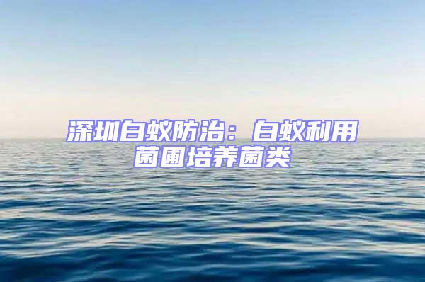 深圳白蟻防治：白蟻利用菌圃培養(yǎng)菌類