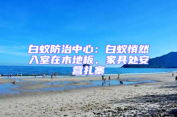 白蟻防治中心：白蟻悄然入室在木地板、家具處安營(yíng)扎寨