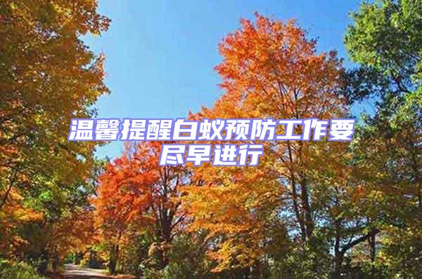 溫馨提醒白蟻預防工作要盡早進行
