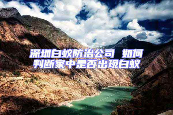 深圳白蟻防治公司 如何判斷家中是否出現(xiàn)白蟻