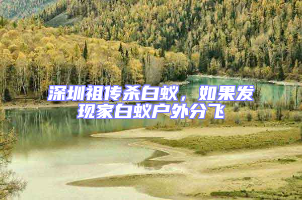 深圳祖傳殺白蟻，如果發現家白蟻戶外分飛