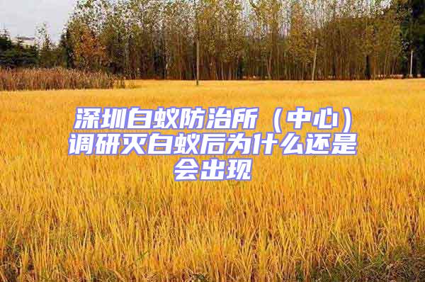 深圳白蟻防治所（中心）調(diào)研滅白蟻后為什么還是會出現(xiàn)