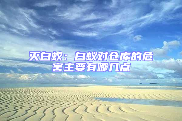 滅白蟻：白蟻對倉庫的危害主要有哪幾點