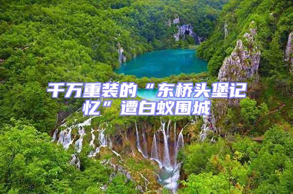 千萬(wàn)重裝的“東橋頭堡記憶”遭白蟻圍城