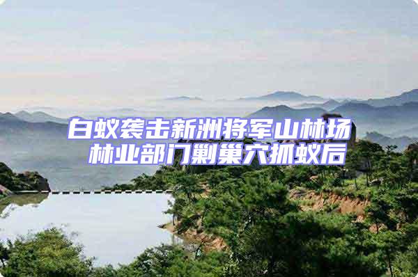 白蟻襲擊新洲將軍山林場 林業(yè)部門剿巢穴抓蟻后