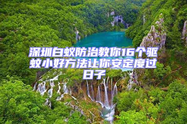 深圳白蟻防治教你16個(gè)驅(qū)蚊小好方法讓你安定度過(guò)日子