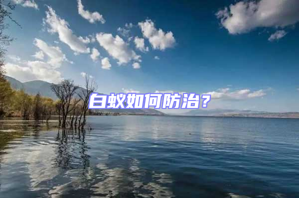 白蟻如何防治？