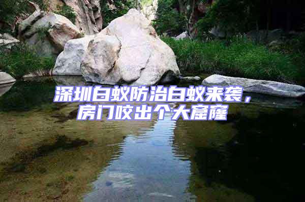 深圳白蟻防治白蟻來襲，房門咬出個大窟窿