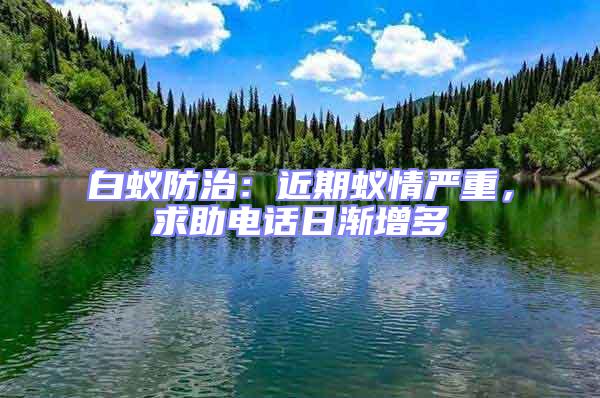 白蟻防治：近期蟻情嚴重，求助電話日漸增多
