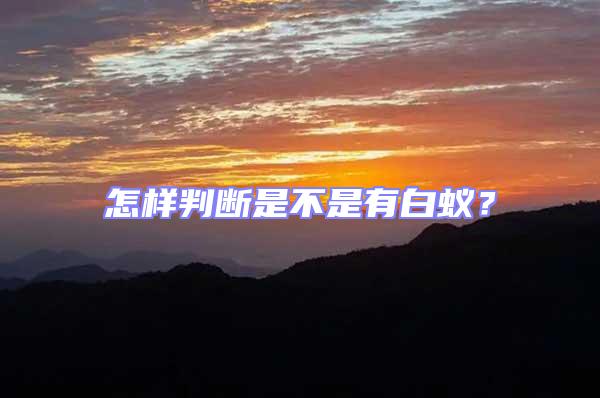 怎樣判斷是不是有白蟻？