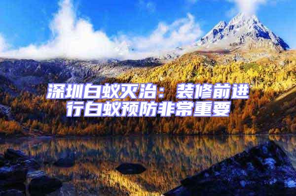 深圳白蟻滅治：裝修前進(jìn)行白蟻預(yù)防非常重要