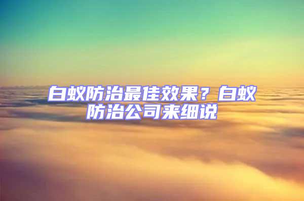 白蟻防治最佳效果？白蟻防治公司來細說