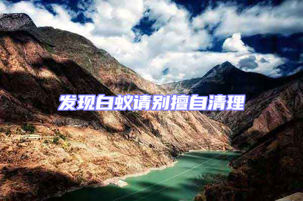 發現白蟻請別擅自清理