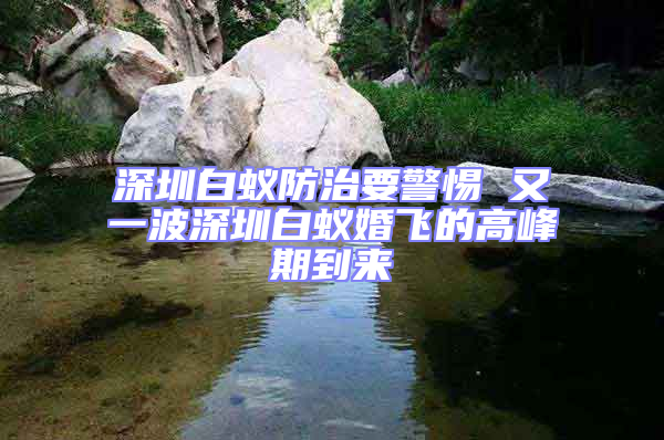 深圳白蟻防治要警惕 又一波深圳白蟻婚飛的高峰期到來(lái)