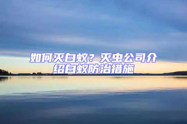 如何滅白蟻？滅蟲公司介紹白蟻防治措施